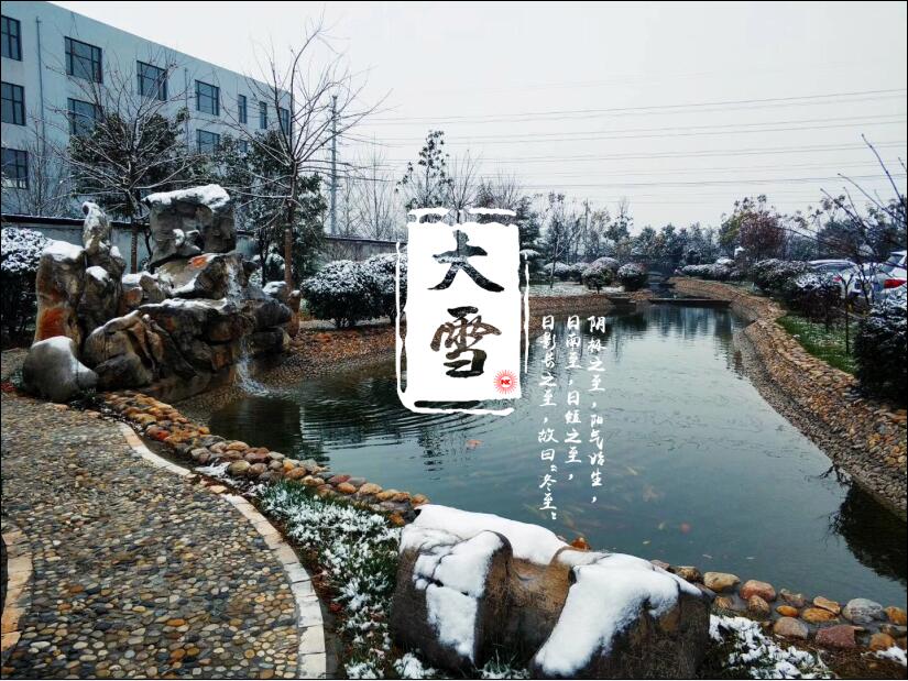 大雪已至，你那里“消白”了嗎？