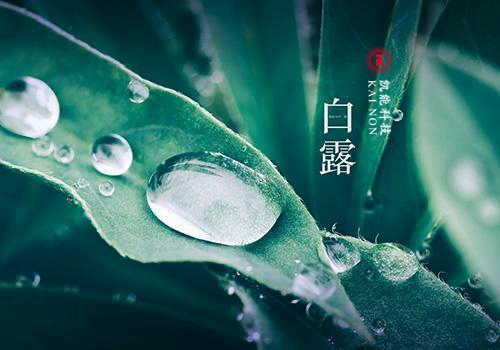 秋風(fēng)何冽冽，白露為朝霜—凱能科技提醒您：今日白露